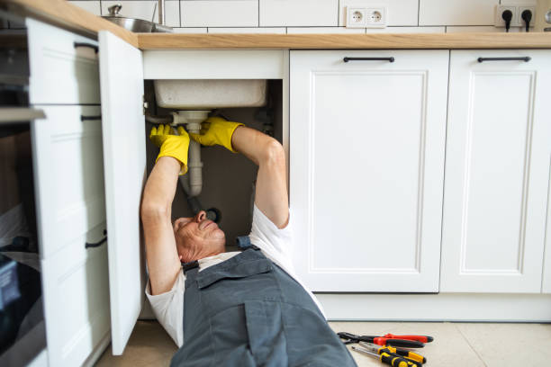 Best Local Plumber Services  in Shell Valley, ND